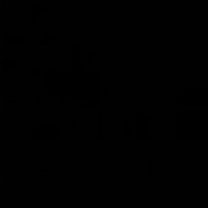 Meet your Posher, Weslee